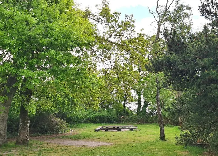 Tatil Evi 6 Person In Haderslev